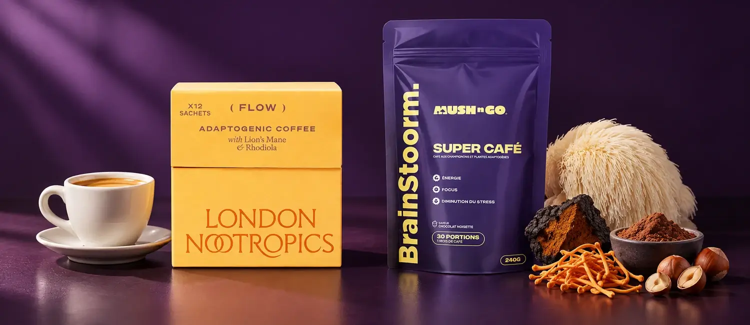 Box of London Nootropics Flow coffee next to a Brainstoorm pouch by Mush N Go, with an espresso, lion's mane, chaga, cordyceps, cocoa powder and hazelnuts on a purple background