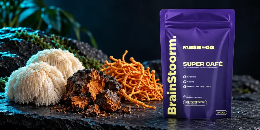 Brainstoorm pouch standing on dark slate beside a lion's mane, a piece of chaga and orange cordyceps